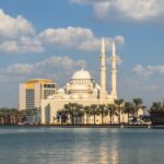 SHAMS Free Zone License Cost: Government Fees Guide 4 SHAMS Free Zone License Cost